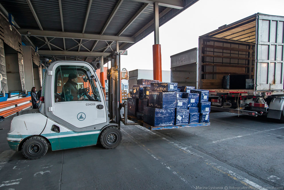 Как работает таможня в Домодедово Как работает таможня в Домодедово