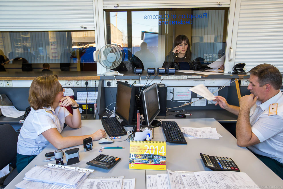 Как работает таможня в Домодедово Как работает таможня в Домодедово