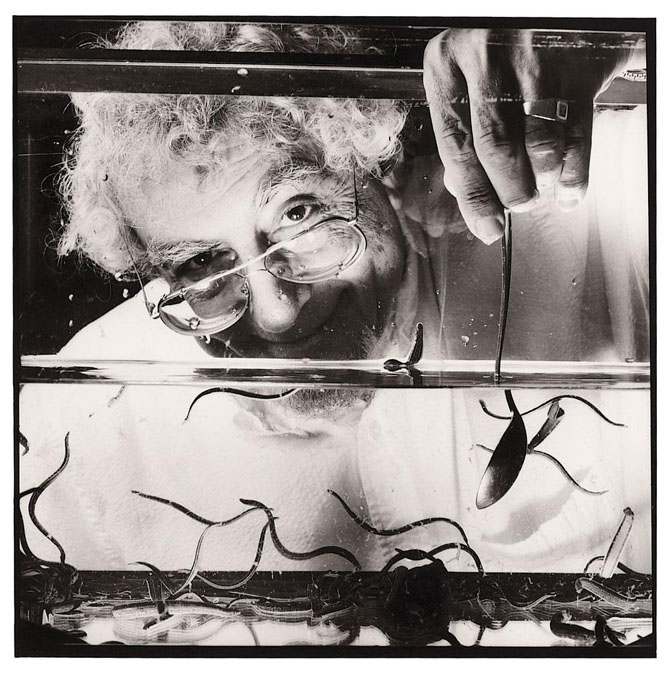 Профессии, о существовании которых вы вряд ли подозревали