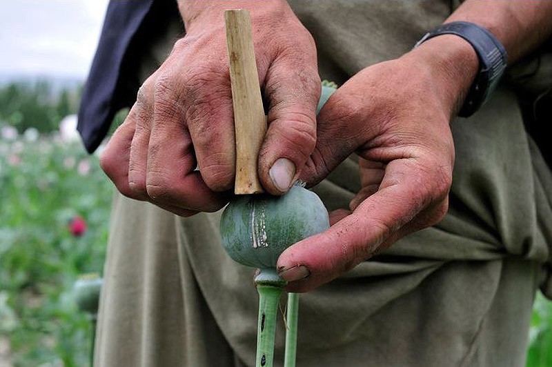 Героиновое государство