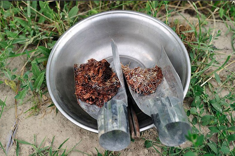 Героиновое государство