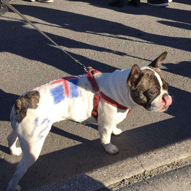 Сборная Исландии проиграла Франции со счетом 5:2