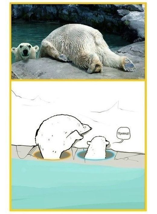 Смешные комиксы