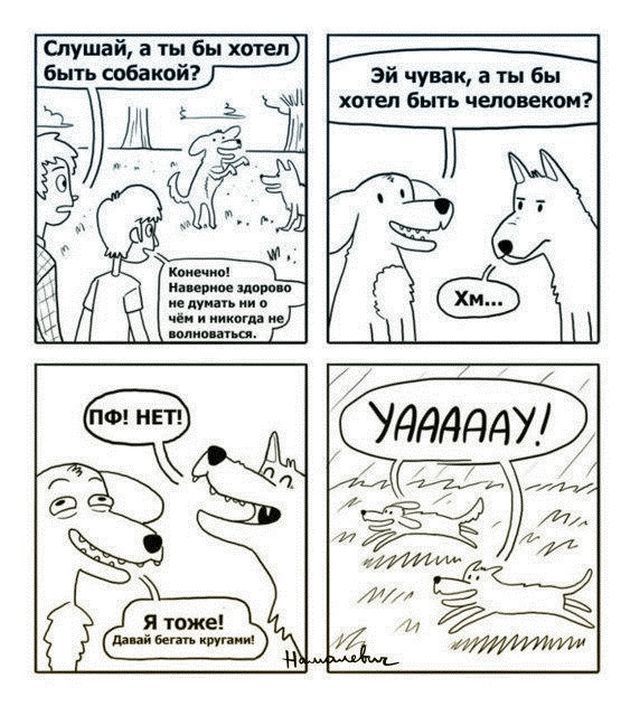 Смешные комиксы