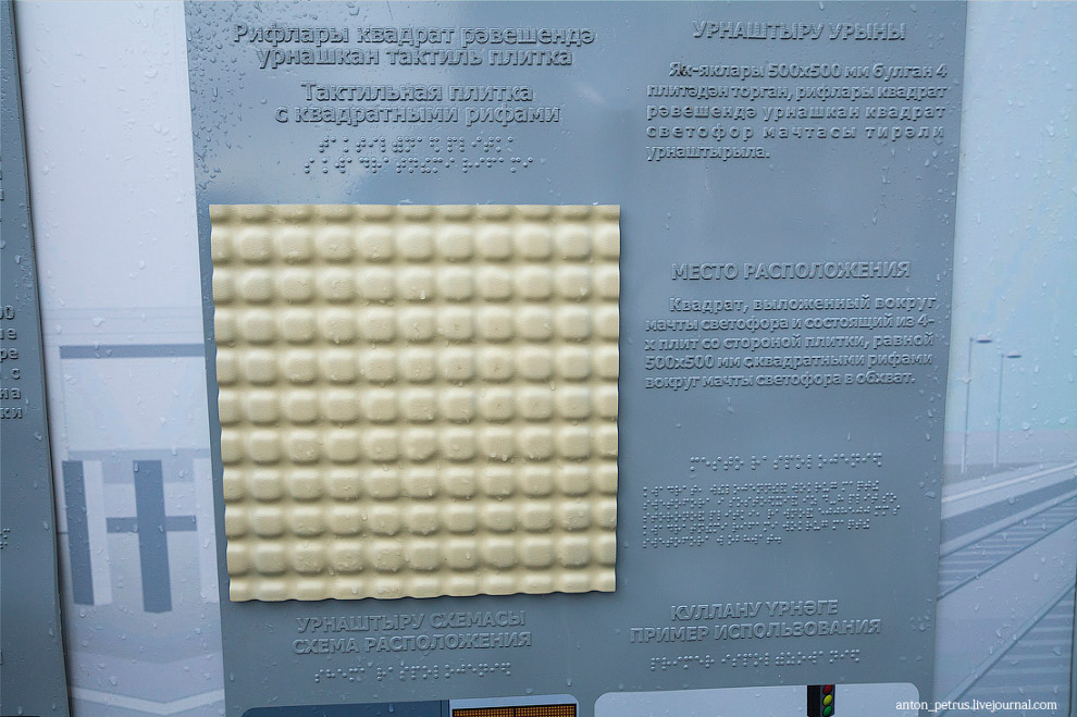 Жизнь в темноте Жизнь в темноте