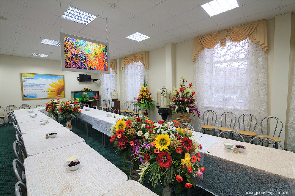 Жизнь в темноте Жизнь в темноте