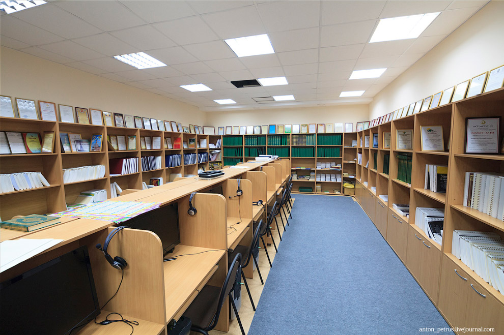 Жизнь в темноте Жизнь в темноте