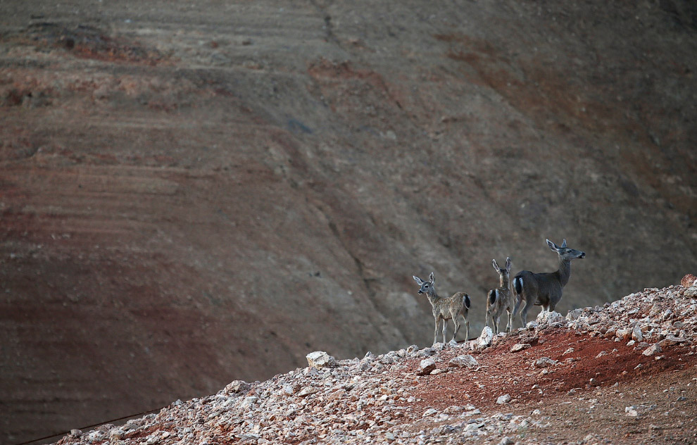Засуха в Калифорнии Засуха в Калифорнии