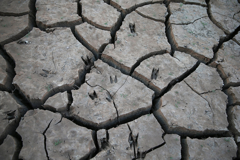 Засуха в Калифорнии Засуха в Калифорнии