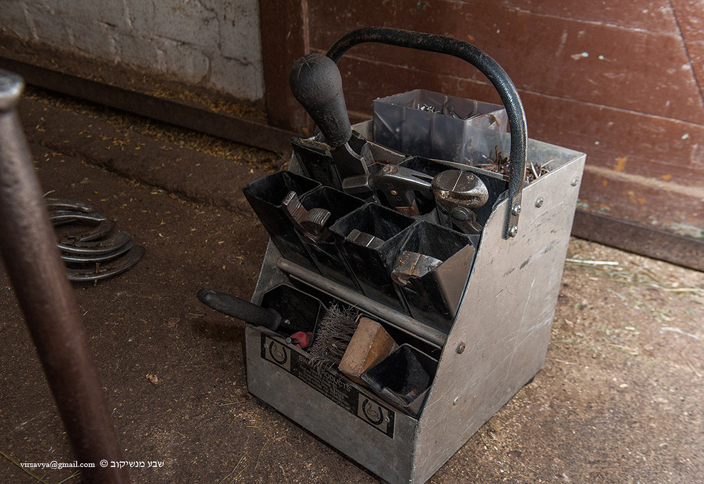 Как подковывают лошадей