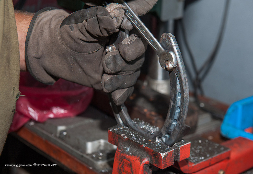 Как подковывают лошадей