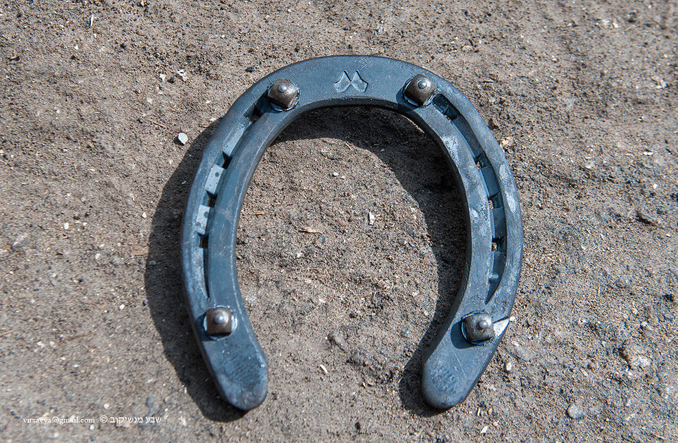 Как подковывают лошадей