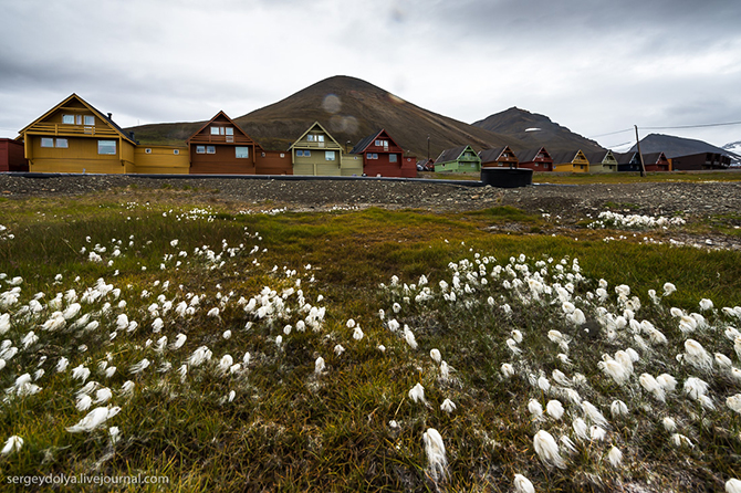 Как и чем живут норвежцы на Шпицбергене