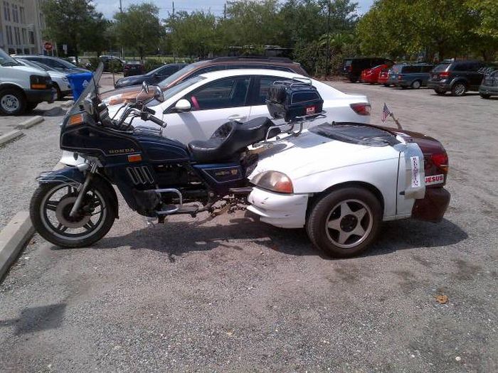 Порция картинок