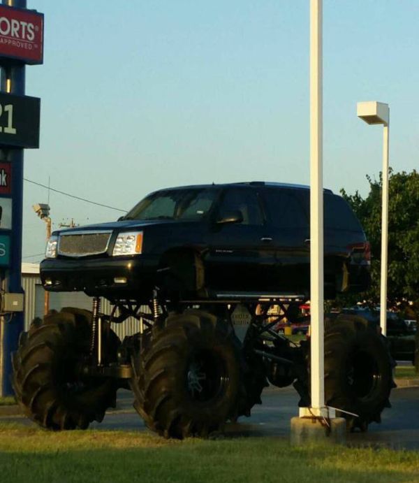 Порция картинок