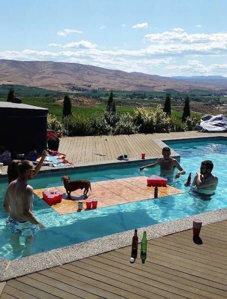 Порция картинок