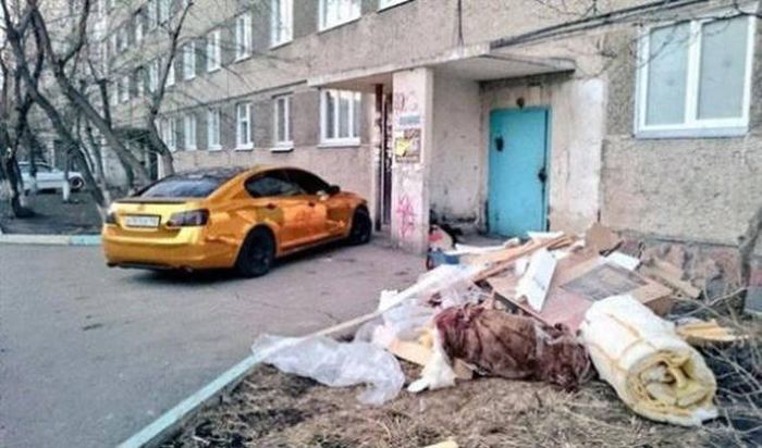 Порция картинок