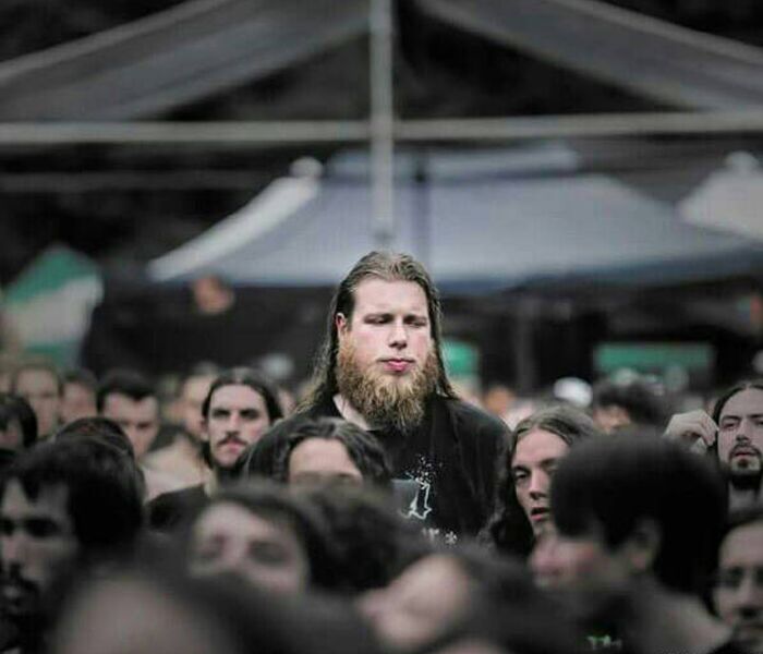 Порция картинок