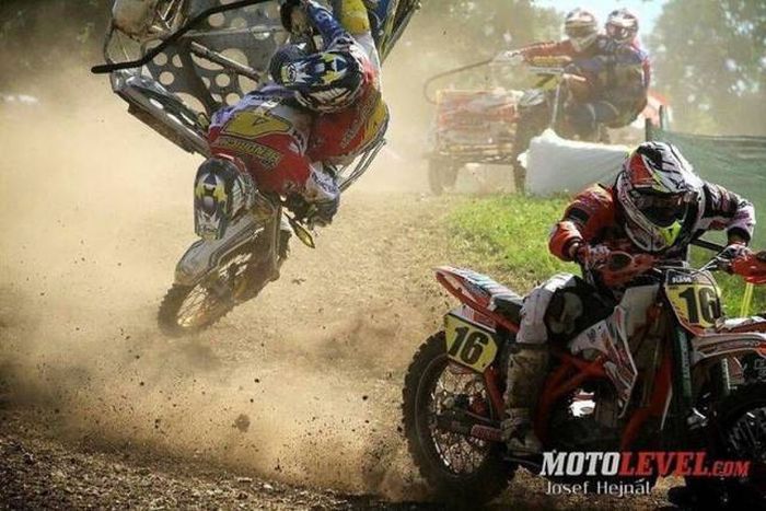 Порция картинок