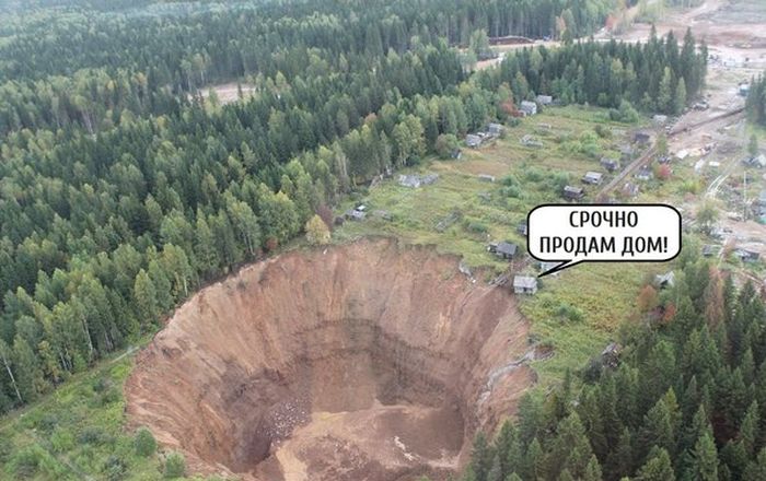 Порция картинок