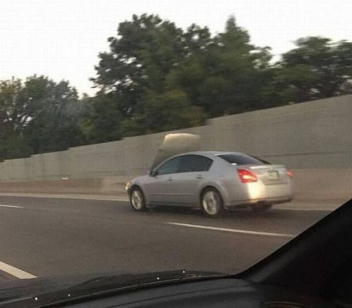 Порция картинок