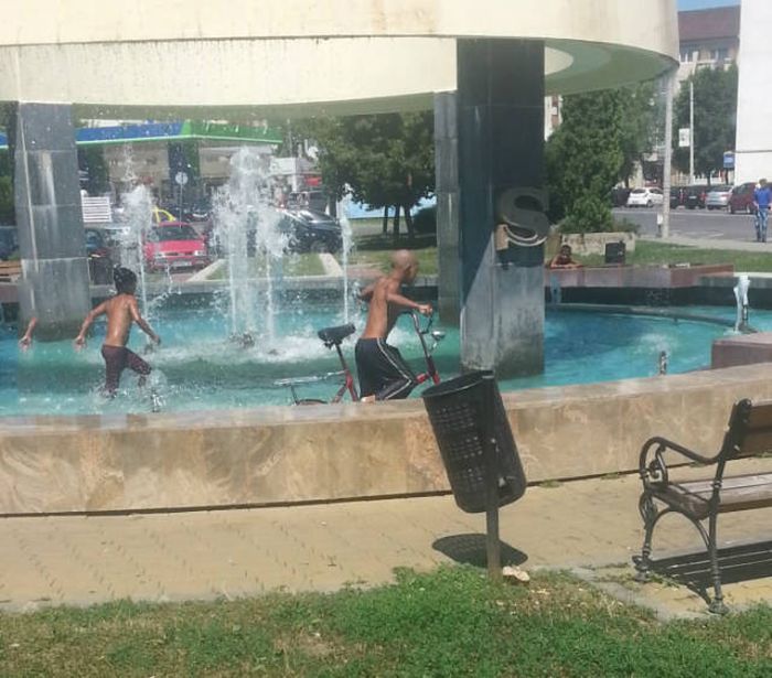 Порция картинок