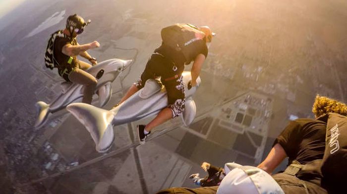 Порция картинок