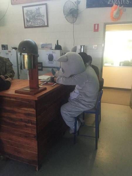 Порция картинок