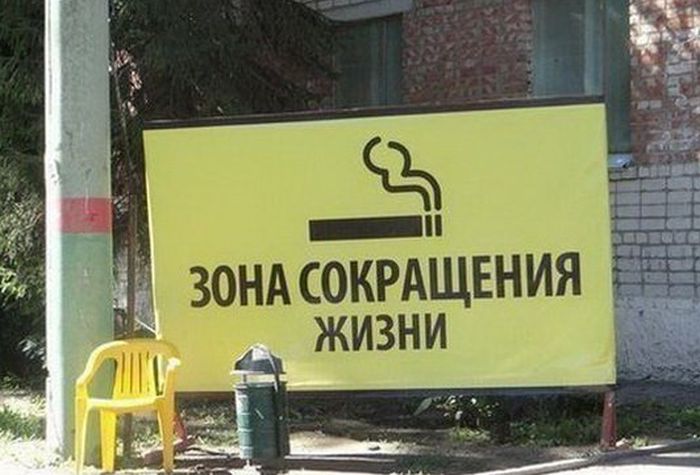 Порция картинок