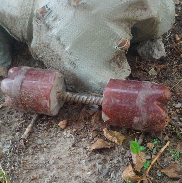 Порция картинок