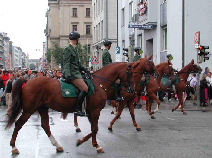 За кулисами Октобрфеста (40 фото)