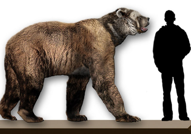 Интересные факты о Ледниковом периоде