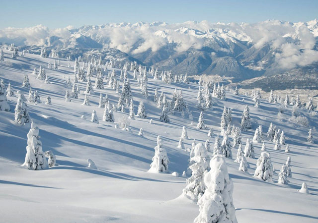 Интересные факты о Ледниковом периоде