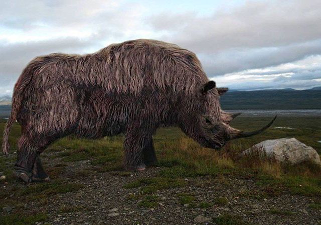 Интересные факты о Ледниковом периоде