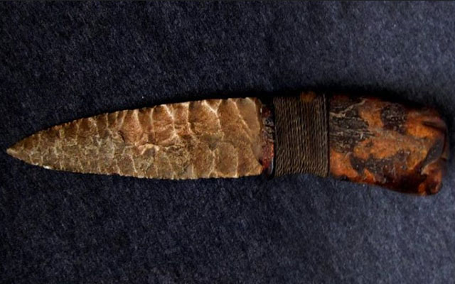 Интересные факты о Ледниковом периоде