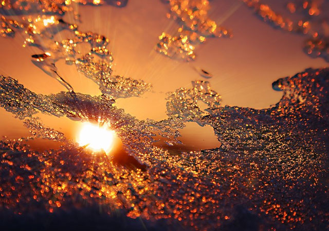 Интересные факты о Ледниковом периоде