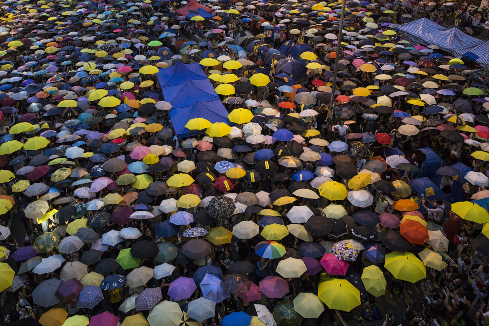 Мир в фотографиях за неделю