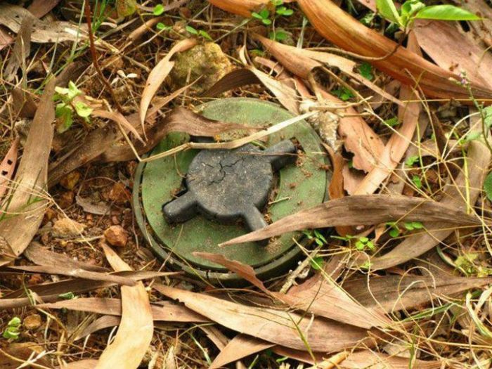 Премии Дарвина за последние 20 лет