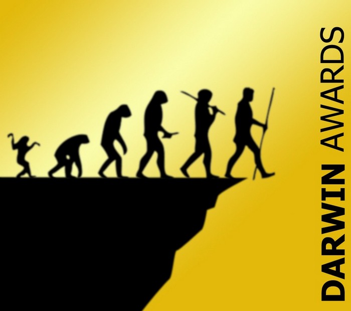 Премии Дарвина за последние 20 лет