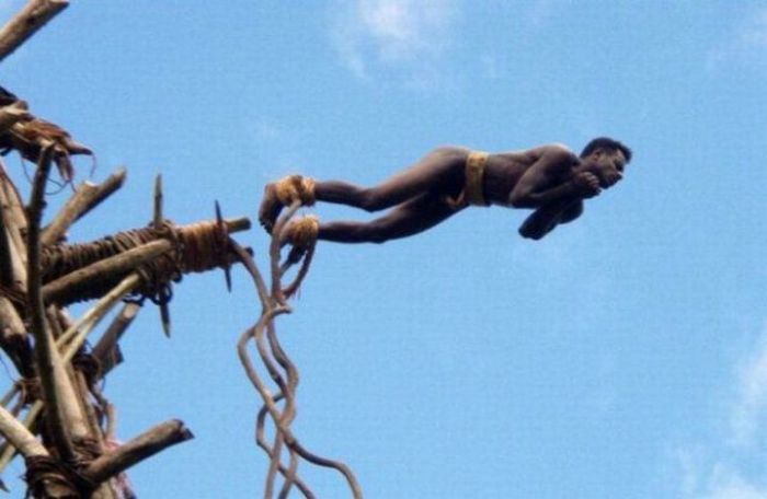 Премии Дарвина за последние 20 лет