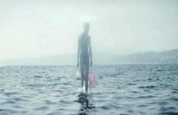 Премии Дарвина за последние 20 лет