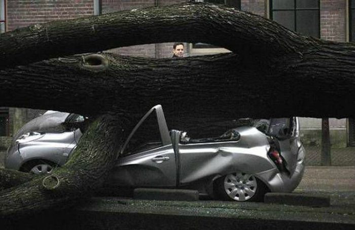 Премии Дарвина за последние 20 лет