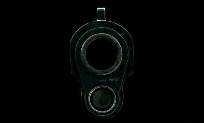 Премии Дарвина за последние 20 лет