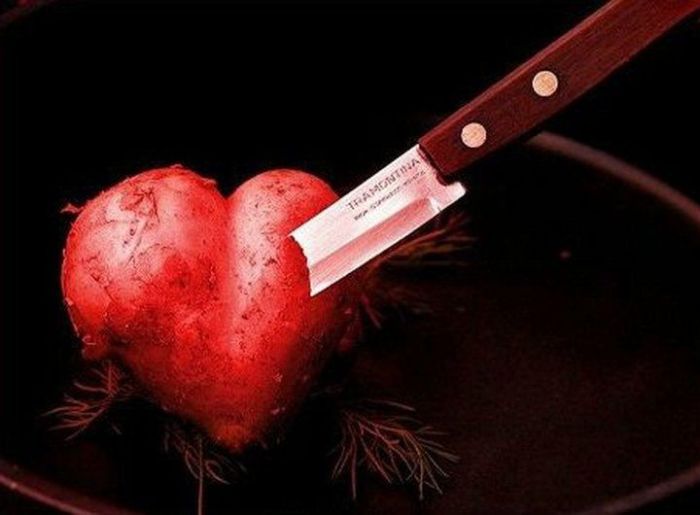 Премии Дарвина за последние 20 лет