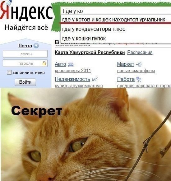 Прикольные картинки