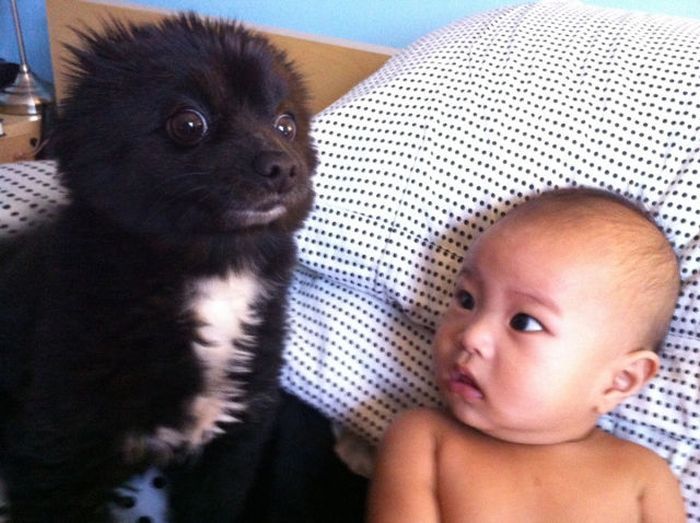 Прикольные картинки