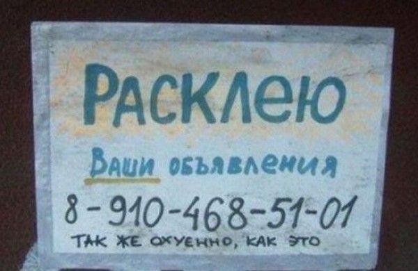 Прикольные картинки