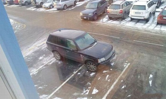 Прикольные картинки