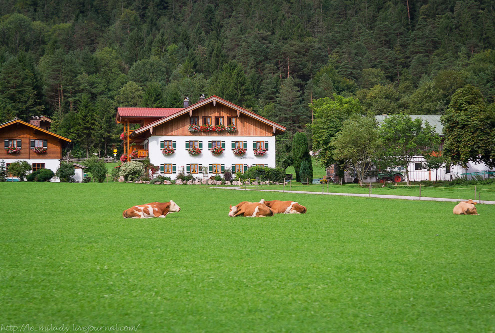 12 поводов поехать в Баварию