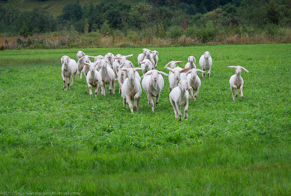 12 поводов поехать в Баварию